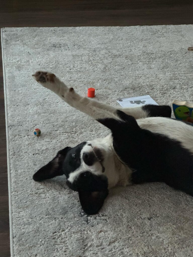 luna1